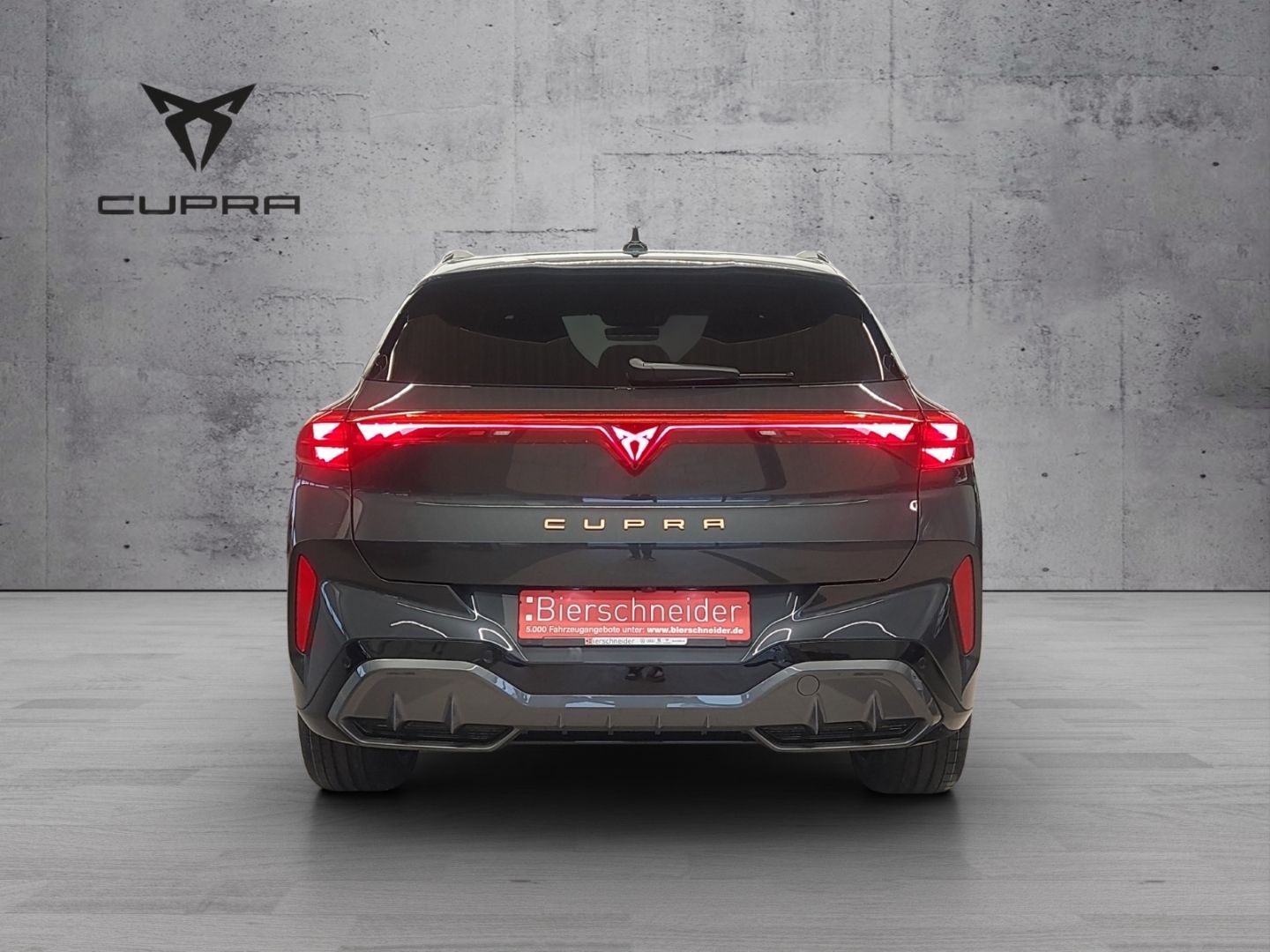 Cupra Terramar - Bild 9