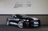 Ford Mustang 5.0 V8 GT/SHZ/SBL/50YearsEdition/RFK/R19 - Ford Mustang: 5.0