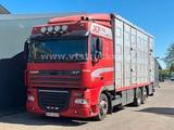 DAF XF105 6x2 LL 3.Stock Menke Hubdach/Rampe/Tränke - DAF Xf 105