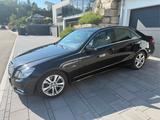 Mercedes-Benz E 250 CDI BlueEFFICIENCY AVANTGARDE AVANTGARDE - Mercedes-Benz E 250 mit Diesel-Antrieb: Limousine