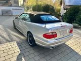 Mercedes-Benz CLK 55 AMG Cabrio - Mercedes-Benz: Cabrio, Cl