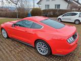 Ford Mustang 5.0 Ti-VCT V8 GT GT - Ford Mustang von privat
