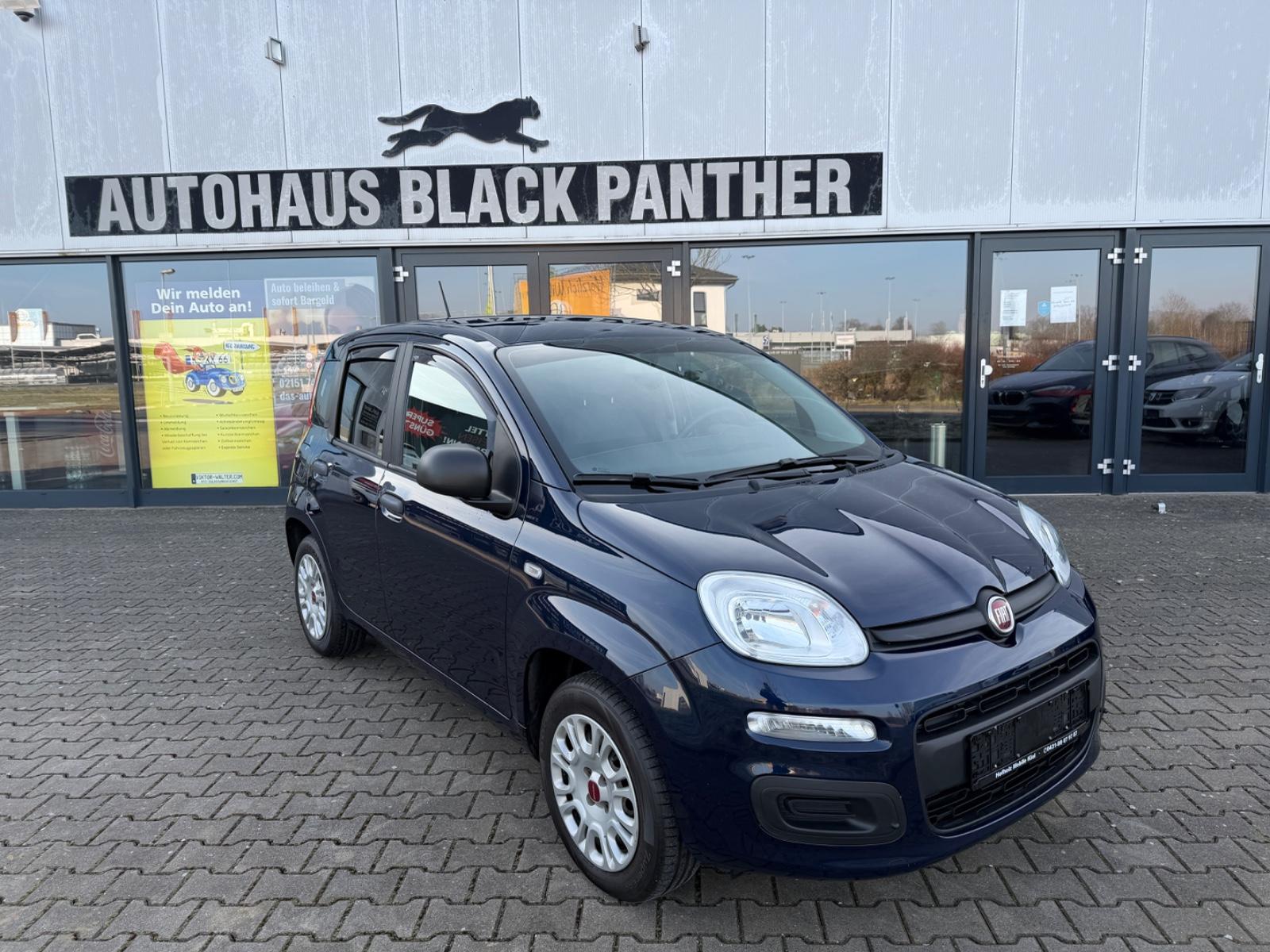 Fiat Panda Easy 1Hand Klima PDC