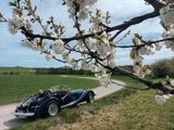 Morgan Plus 8  - Morgan Plus 8 von privat