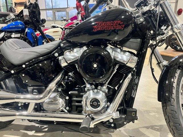 Fahrzeugabbildung Harley-Davidson MY23 Harley-Davidson FXST Softail Standard 107