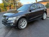 Audi Q5 2.0 TDI 130 kW quattro,S line,LED - Audi in Bonn: Q1