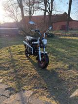 Skyteam DAX 125 - SKYTEAM MOTORRAD