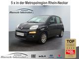 Fiat Panda Easy 1.2 DAB Berganfahrass. Klima MP3 CD e - Fiat Panda: Schwarz