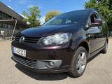Volkswagen Caddyi Maxi Roncalli BMT / 7-Sitzer - Volkswagen Caddy Maxi: Roncalli