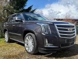 Cadillac Escalade 6.2 V8 Platinum Autom. Platinum - Cadillac Escalade: Von Privat
