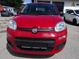 Fiat Panda Pop,Abnehmbare AHK,Klima - Fiat Panda: Pop
