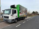 MAN TGL 8.180 Kühlkoffer | Carrier Kühlung | Lad - MAN 2010