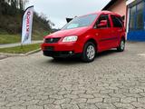 Volkswagen Caddy Life Gewinner Caddy - Volkswagen Caddy: Gewinner