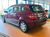 Mercedes-Benz B 170 Automatik / Xenon / Sitzhz./ Lamellendach - gebrauchte Mercedes-Benz B-Klasse aus dem Jahr 2006