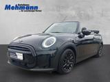 MINI Cooper Cabrio Classic Trim *Kamera*Teilleder*Shz - MINI Cooper: Classic Trim