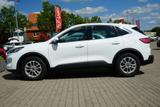 Ford Kuga 2.0 EcoBlue Titanium LED Navi Kamera ACC - Ford Kuga Gebrauchtwagen in Erfurt