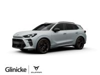 Cupra Terramar - Vorschau Bild 1