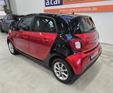 Smart ForFour Passion 66kW|Pano|Garantie|TÜV+KD NEU - Smart Gebrauchtwagen von 2019