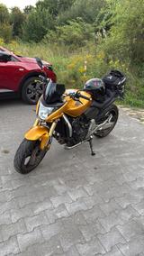 Honda Cb 600 hornet pc41  4.500gelaufen - HONDA HORNET 600 PC41