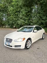 Jaguar XF 2.7D V6 Premium Luxury - gebrauchte Jaguar XF aus dem Jahr 2008