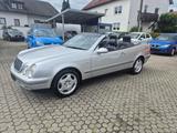 Mercedes-Benz CLK 320 Cabrio Elegance *Youngtimer* - : Cabrio, Youngtimer