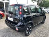 Fiat Panda (319) City Plus - gebrauchte Fiat Panda aus dem Jahr 2023