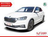 Skoda Fabia 1.0 TSI Ambition LED Sitzheizung SmartLink - Skoda Fabia Gebrauchtwagen in Berlin