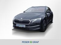Skoda Octavia - Vorschau Bild 1