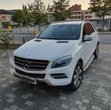 Mercedes-Benz ML 350 BlueTEC 4MATIC - - Mercedes-Benz ML-Klasse Gebrauchtwagen in Hamburg