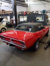 Ford Mustang - Ford Mustang aus 1967: Cabrio