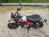 Honda Monkey 125 - Rot / 2022 - HONDA MONKEY