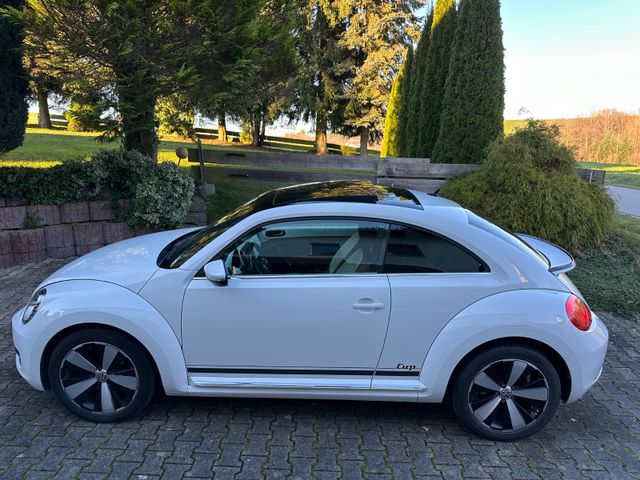 Volkswagen Beetle Cup PANO von Privat im Topzustand