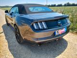 Ford Mustang 2.3 EcoBoost - Tüv/Service neu - Ford Mustang in München