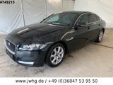 Jaguar XF Prestige Xenon 17" Kamera DAB Vollleder Navi - Jaguar XF aus 2020