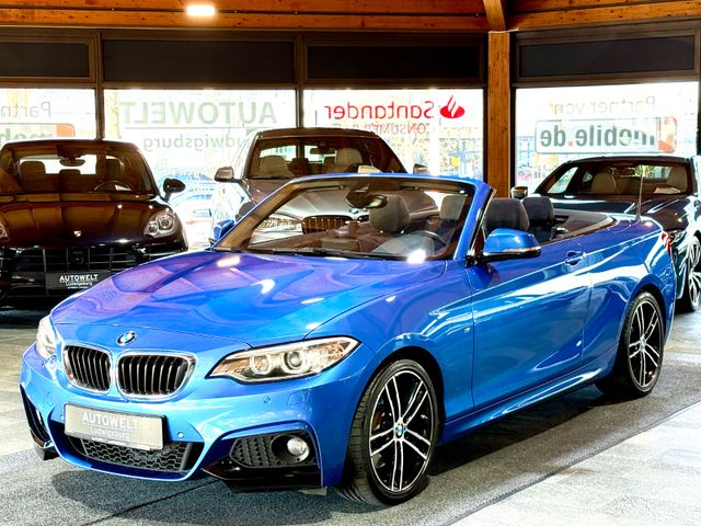 BMW 230i Cabrio M-Sportpaket DKG XENON-NAVI-LEDER