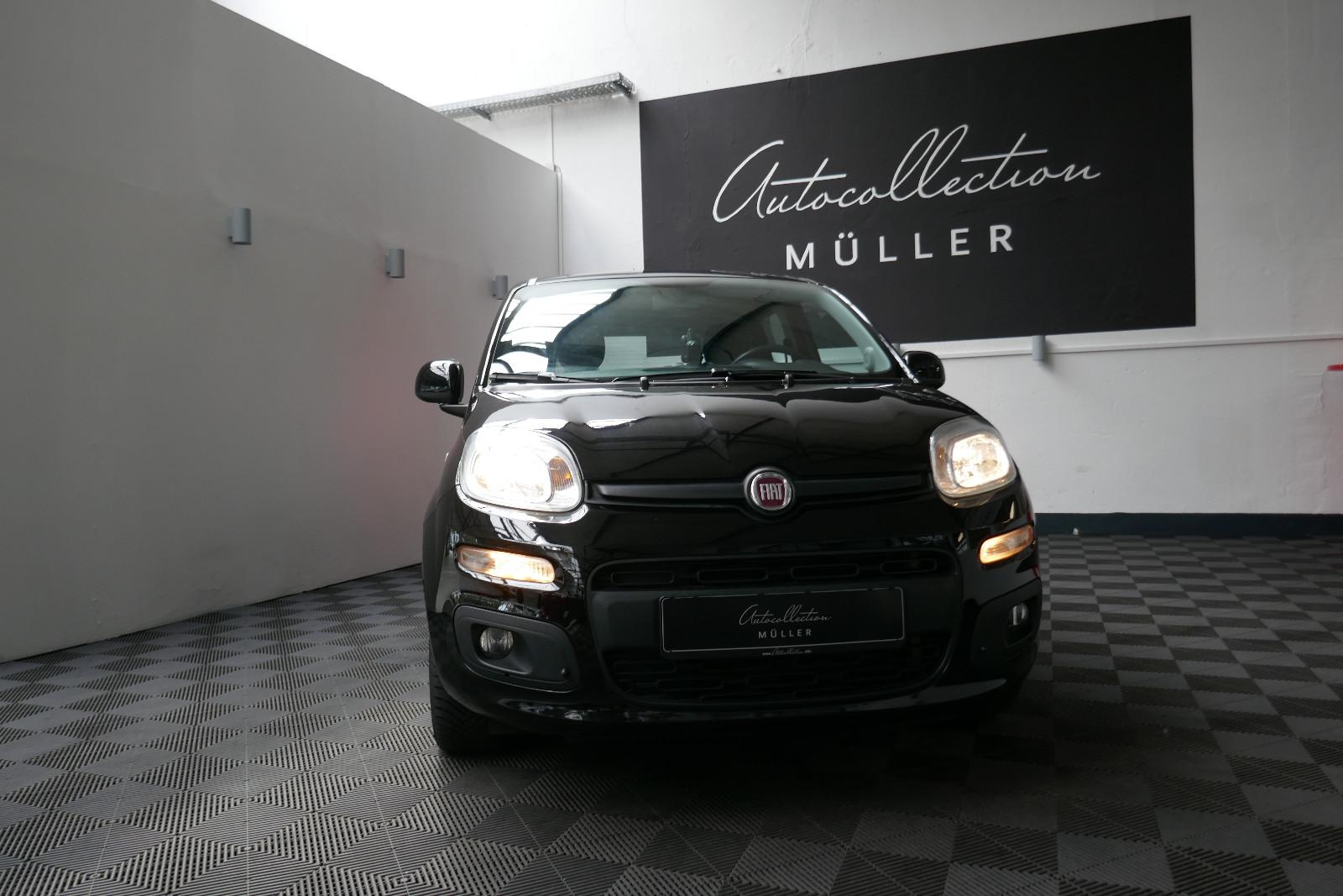 Fiat Panda Lounge