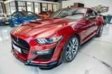Ford Mustang GT 5,0 SHELBY PREMIUM ACC