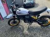 Ducati Scrambler Desert Sled - DUCATI SL