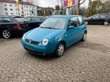 Volkswagen Lupo 1.0 Klima-E Fenster-Servo - Volkswagen Lupo in Duisburg