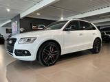 Audi SQ5 3.0TDI plus tiptronic quattro B&O CARBON ACC - Audi SQ5 in Osnabrück