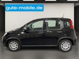Fiat Panda Pandina 1.0 Hybrid | Digitaler Tacho | PDC - Fiat Panda mit Benzin-Antrieb