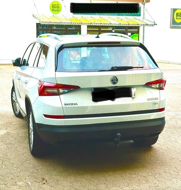 Image of Skoda Kodiaq