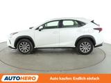 Lexus NX-Serie NX 300h Amazing Edition Aut.*LED*CAM* - Lexus: Nx