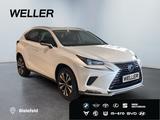 Lexus NX 300h Style Edition *Bi-LED*CAM*SHZ*CarPlay*PD - Lexus NX-Serie SUV