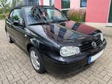 Volkswagen Golf 4 1.6 Colour Concept Cabrio Leder 1Hd. Sche - Volkswagen Golf: Concept
