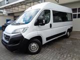 Fiat Ducato Hochr.-Kombi 33 150 L2H2 ROLLSTUHLLIFT - Fiat Ducato in Duisburg