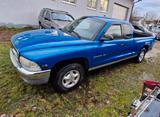 Dodge Dakota Club Cap - Dodge Dakota Gebrauchtwagen