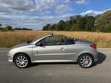 Peugeot 206 CC Roland Garros 110 Roland Garros - Peugeot 206: Roland Garros