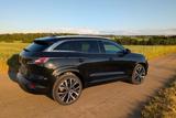 Renault Austral E-Tech Hybrid 200 Iconic Iconic - Renault Austral aus 2022