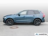 Volvo XC60 T8 AWD Plus Black Edition Recharge Gewerbe - Volvo Gebrauchtwagen in Bielefeld
